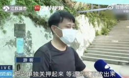 余姚吃瓜网红富二代被抓,揭秘背后惊人真相
